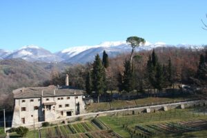 Santa Maria della Foresta