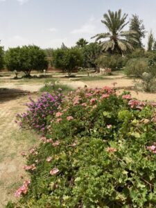 Jardin d'Outoul