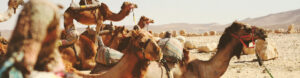 Voyage culturel Catholique