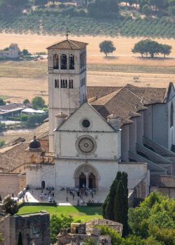 Basilique Saint-François
