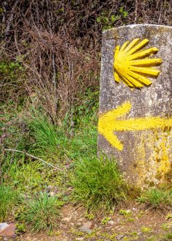 France Chemin de St Jacques
