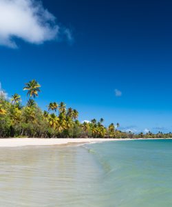 Jour 7_plage des salines