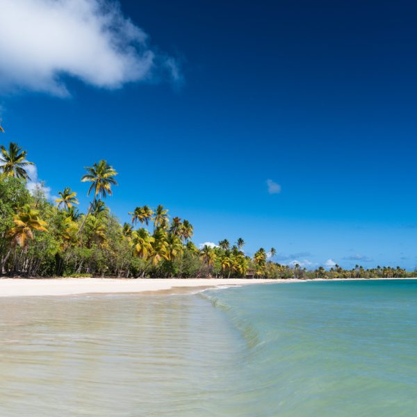 Jour 7_plage des salines