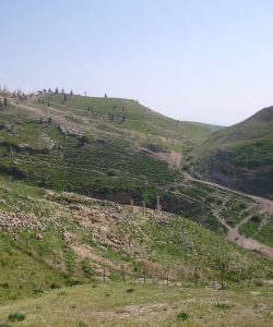 Pella