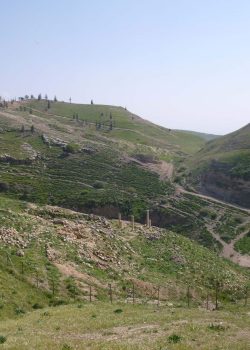 Pella