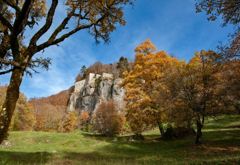 Chiusi,Della,Verna,,Arezzo,,Italy,-,2020,,October,30:,A