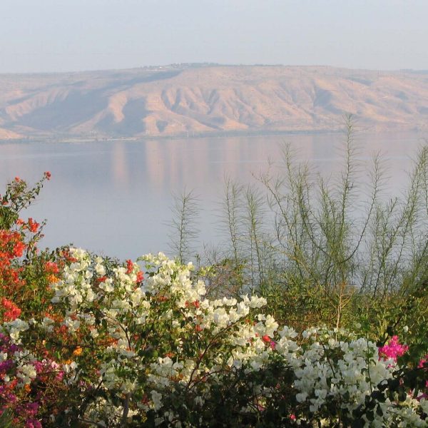 Lac de Tibériade