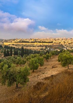 Beautiful,Morning,View,Of,The,Old,City,Jerusalem,With,Dome
