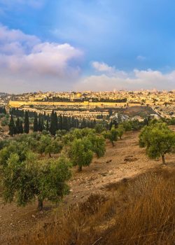 Beautiful,Morning,View,Of,The,Old,City,Jerusalem,With,Dome