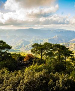 Troodos