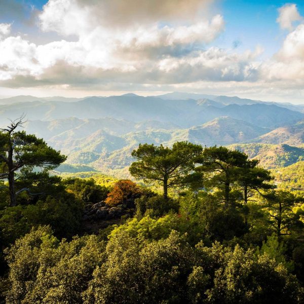 Troodos