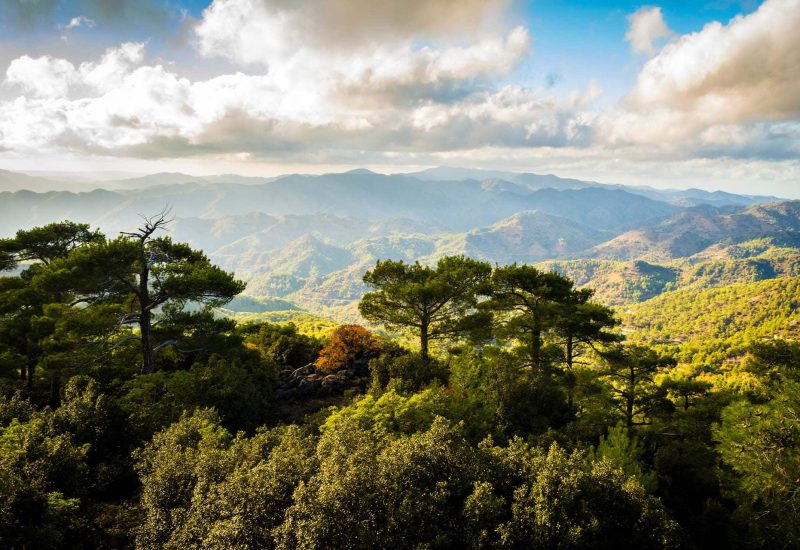 Troodos