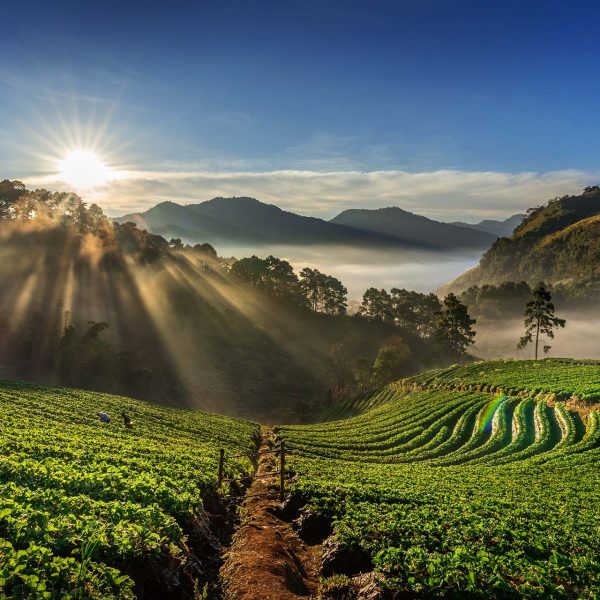 Rwanda