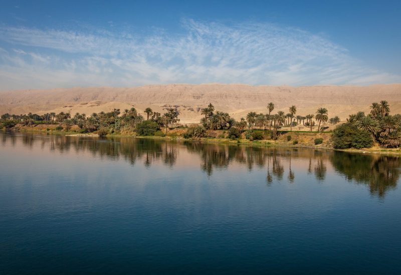 Palm,Trees,And,Greenery,Reflecting,On,The,Nile,River,With