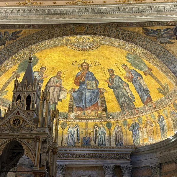 WhatsApp Image 2025-11-28 at 16.12.44 (2)