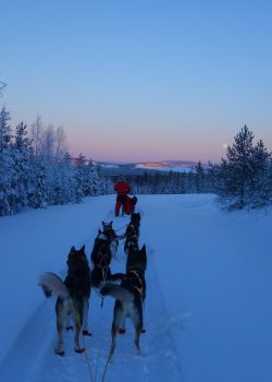baldur93-lapland-3958024_1920