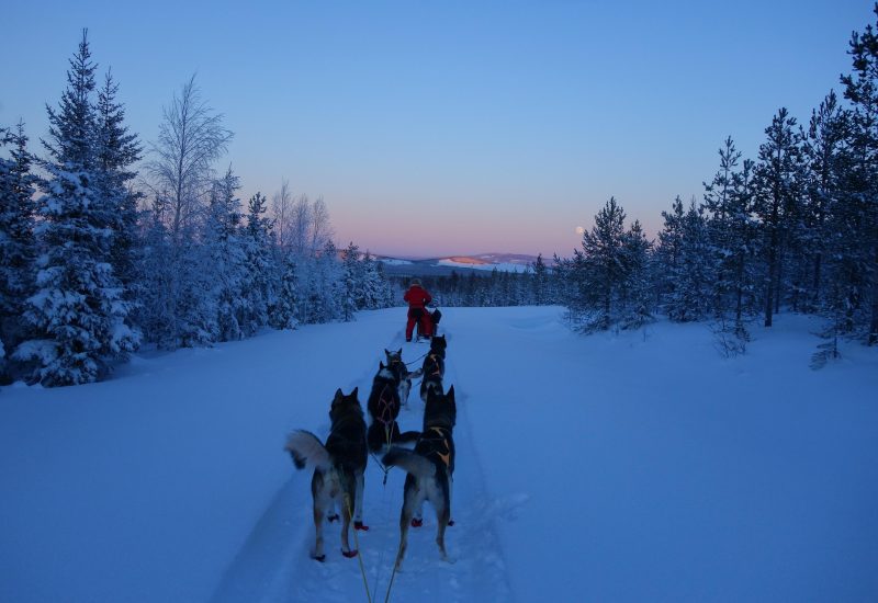 baldur93-lapland-3958024_1920