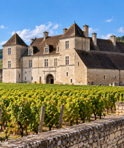 clos vougeot IA