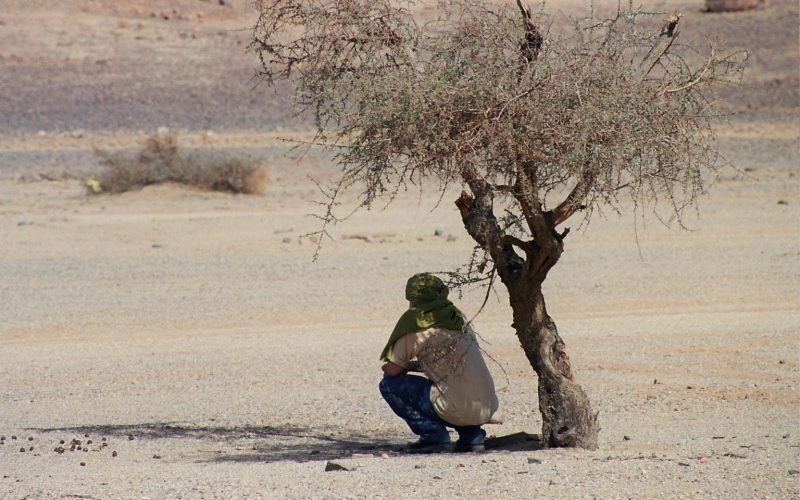désert Algérie