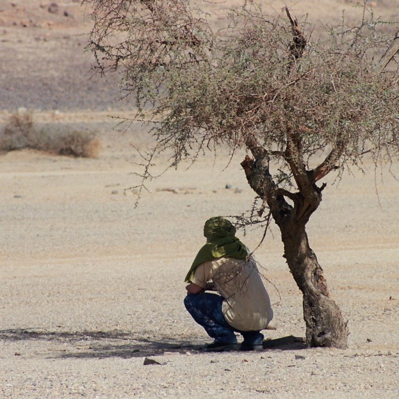 désert Algérie
