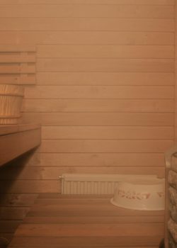 esariutta-sauna-1265002_1920