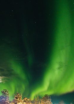 giulianabencovich-aurora-borealis-2163331_1920