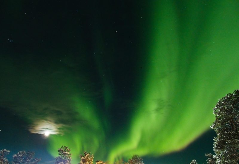 giulianabencovich-aurora-borealis-2163331_1920