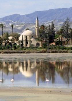 hala-sultan-tekke-larnaca-chypre