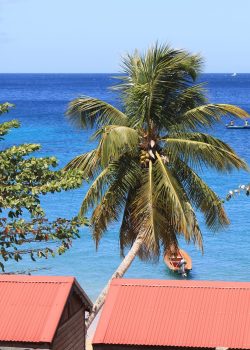 orythys-martinique-205112