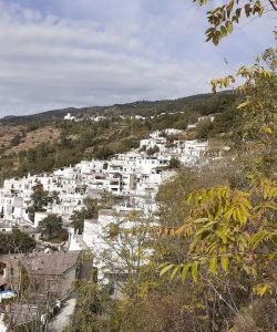 pampaneira