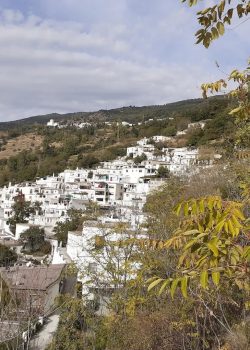 pampaneira