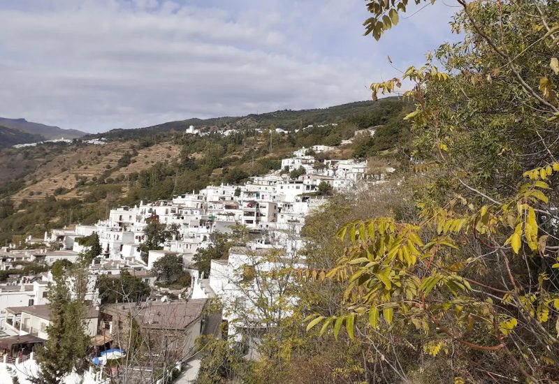 pampaneira